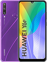 Y6P 2020