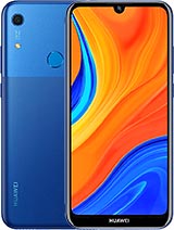 Y6S 2019